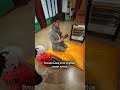 Работа в городах Тэджон и Гунсан - Южная Корея🇰🇷 #работазаграницей