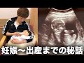 妊娠〜出産までの秘話。チビキンのエコー写真大公開！！