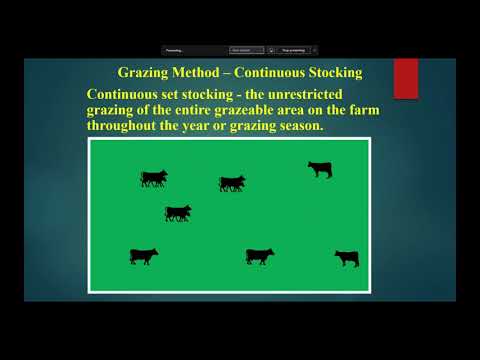 Late Summer Forage