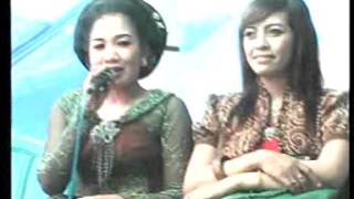 Download lagu Sekar Gadung sexy goyanganya hot banget Sekar Gadung sexy goyanganya hot banget