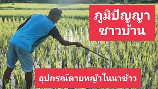 เครื่องทุ่นแรงดายหญ้าในนาข้าว - อาชีพสร้างรายได้Channel