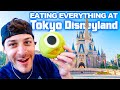 Eating EVERYTHING at Tokyo Disneyland! | Tokyo Disney 2023!