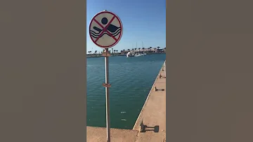 سعيدية مرينا 