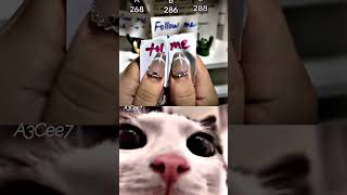 I Bet You Cant Guess  bombastic cat edit meme