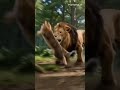 Cat and lion #enjoy #cartoon #funny #viral