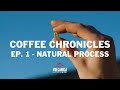 Unraveling the Magic of Natural Process Coffee - Exploring Las Mercedes Coffee Farm in Costa Rica