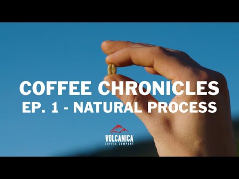Volcanica Coffee Launches New Coffee Process Collection