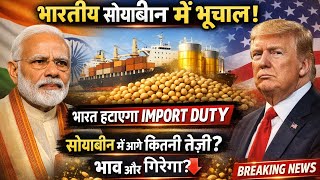 Soybean Market Crash: भारत हटाएगा Import Duty? सोयाबीन भाव ओर कितनी तेजी?