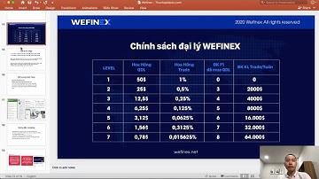 Wefinex là gì ? Có phải lừa đảo không?
