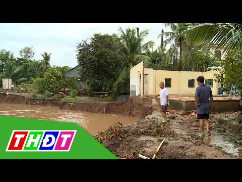Video Đồng Tháp: Sạt lở liên tiếp ở xã Cù lao Tân Quới,... - youtube