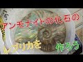アンモナイト　造形 アンモナイト造形