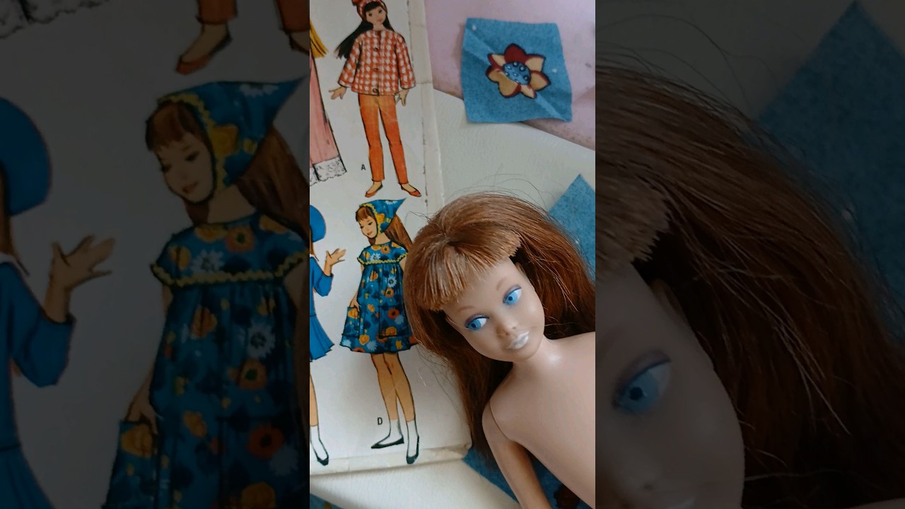 Skipper sewing spot the hack 