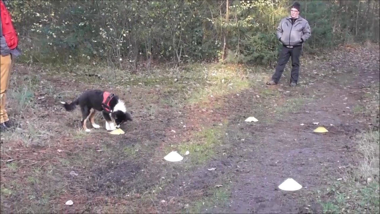 Sky detectie schotels 19 weken