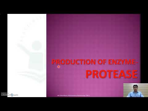 Production of Protease Enzyme/Proteolytic enzyme/proteinase and it applications