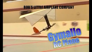 Gymallo RC Plane