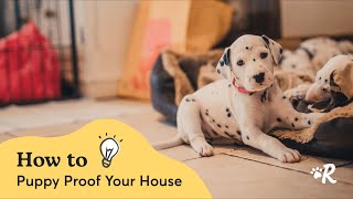 How to Puppy-Proof Your House Like a Pro by Rover 533 views 5 months ago 4 minutes, 43 seconds