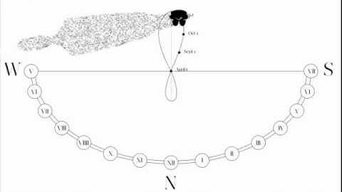 CC Lab Midterm Documentation