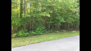 111 Camelot Street, Connelly Springs, NC 28612 - Land - Real Estate - For Sale