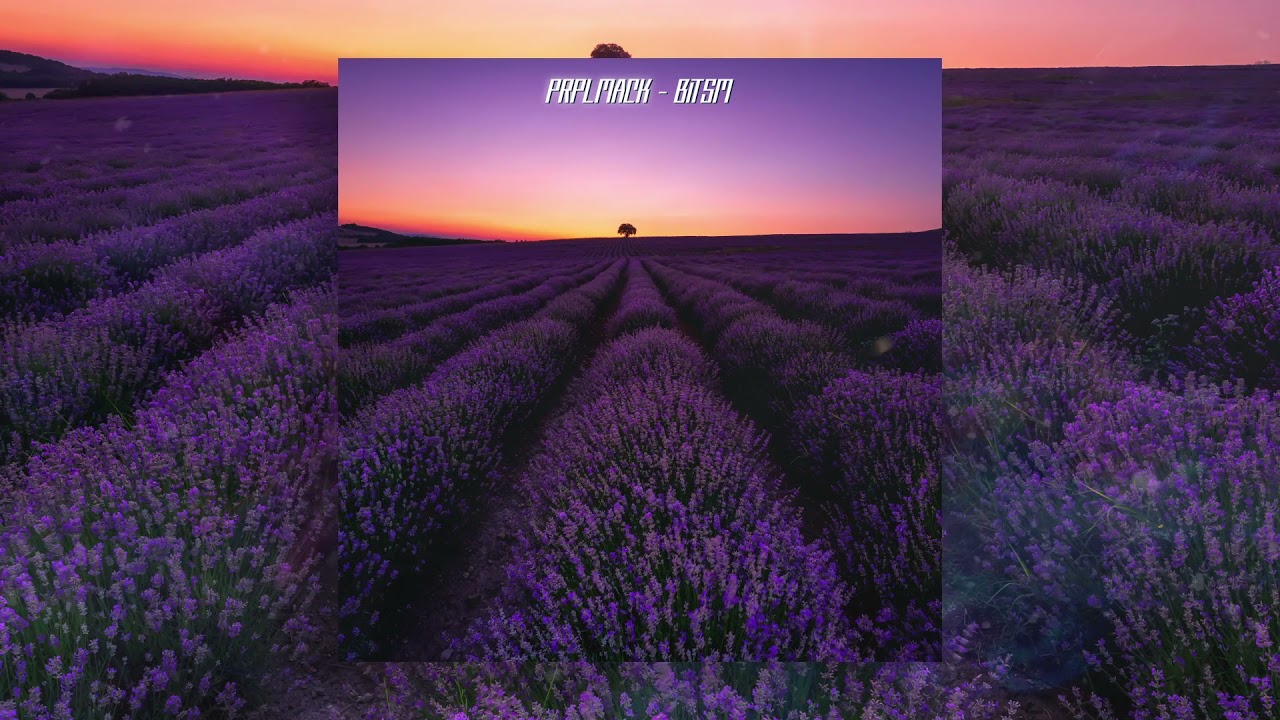 prplmack - bitsm PALMTREES type beat