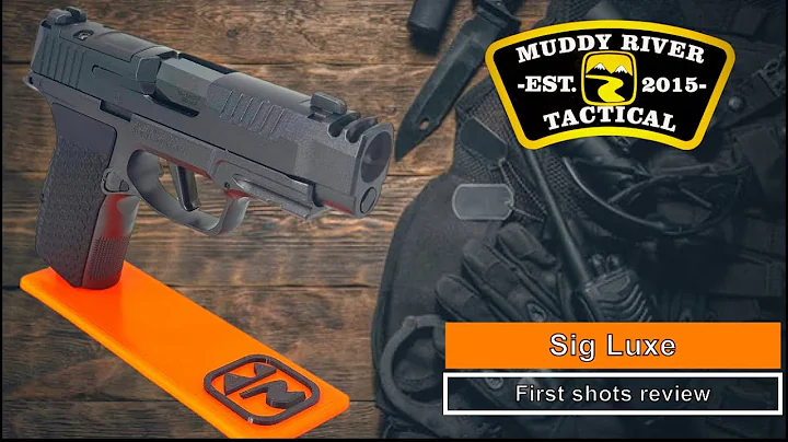 Sig P365 Luxe 380 acp  |  Smoothest shooting CCW Pistol on the Market?