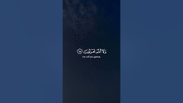 ﴿يا عباد لا خوف عليكم اليوم ولا أنتم تحزنون﴾ سورة الزخرف ياسر الدوسريMuslim book#مسلم#قرآن