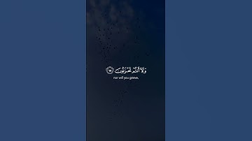 ﴿يا عباد لا خوف عليكم اليوم ولا أنتم تحزنون﴾ سورة الزخرف ياسر الدوسريMuslim book#مسلم#قرآن
