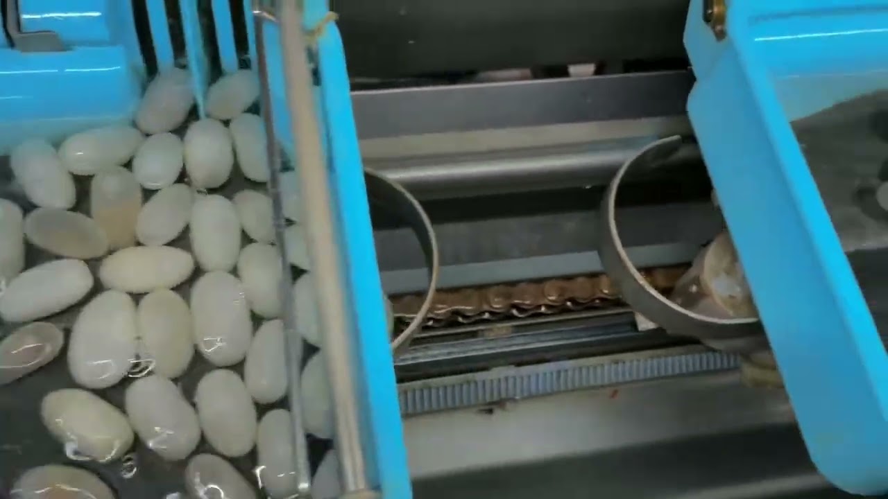 ARM AUTOMATIC SILK REELING MACHINE || 2026 ||ARM