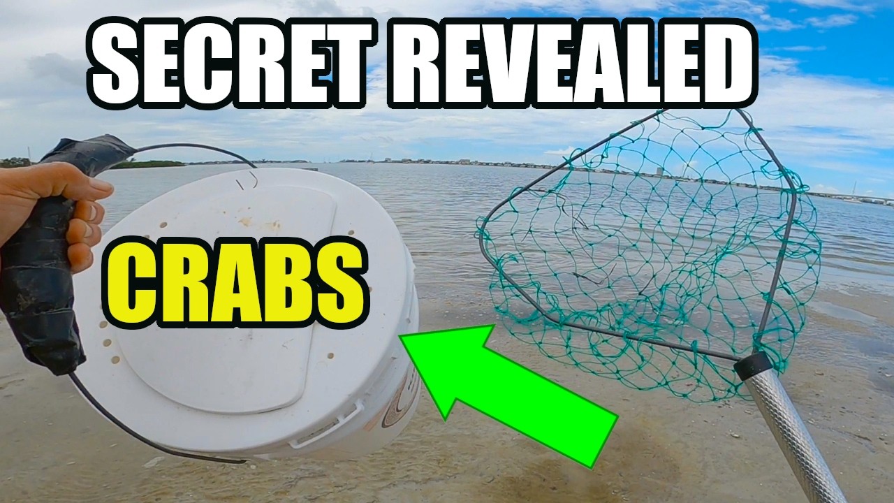Секрет раскрыт: простой способ поймать синих крабов (Florida Catch & Cook)