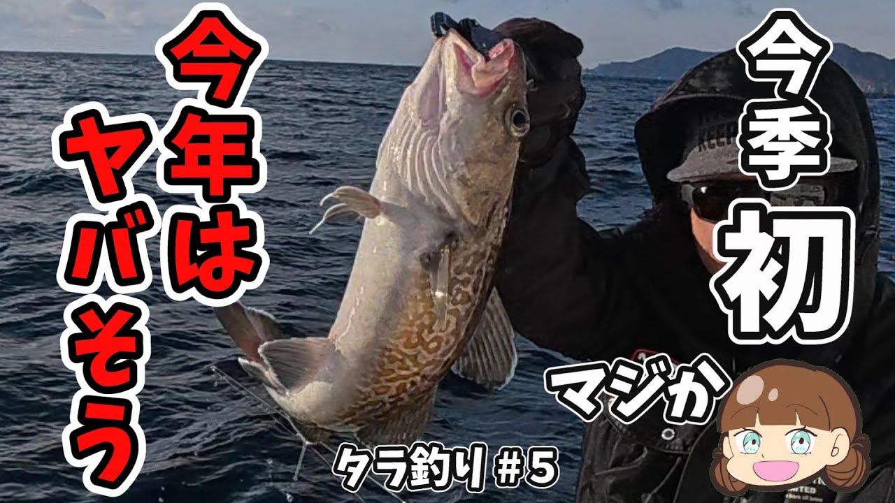【タラ釣り #5】今季初タラ釣り！！バンバン釣れてるって情報入っているから間違いないでしょう！！