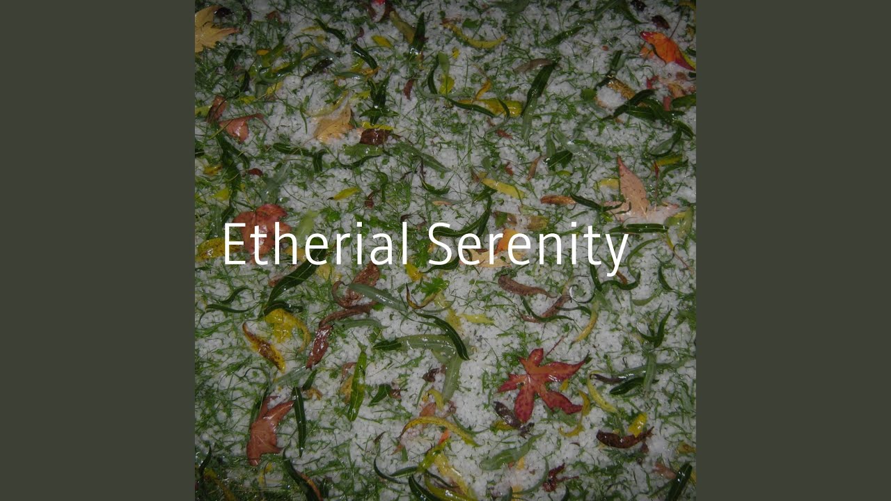 Watch Ethereal Drift on YouTube Watch Ethereal Drift on YouTube