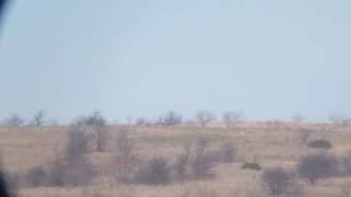 2290 yards with the 375 cheytac.