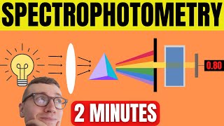 Spectrophotometry Explained For Beginners