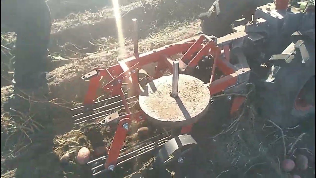 Испытание,настройка переделанной картофелекопалки для мотоблока Мотор Сич.Урожай 2022.