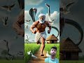 Untitled video