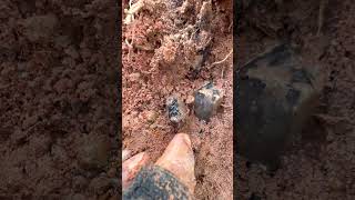 Finding Natural Amethyst Gemstone In River At The Mountain, Unbelievable Find (Episode 200)