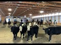 Stockmanship clinic  oct 2022 with sandy hodskins