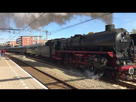 SSN 's Hertogenbosch 2018