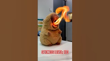 Capybara Chili Challenge! #capybara #cute #chili #challenge #funny