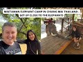 Maetaman Elephant Camp Chiang Mai Thailand - Get up close to the Elephants | Thailand Vlog |