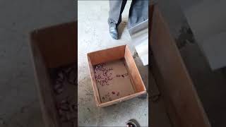 Jamun pulper Machine 1hp 9860549617