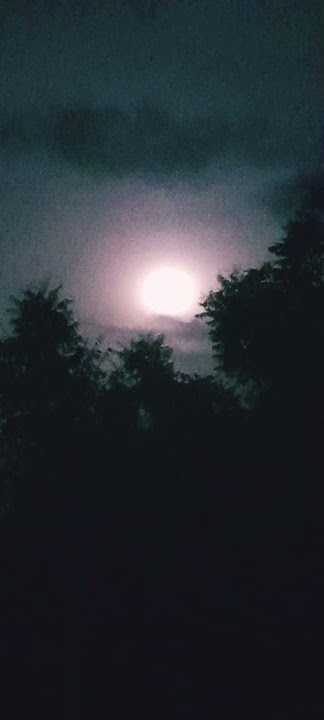 Aagaya Vennilave Middle BGM Whatsapp Status | Ilayaraja | Prabhu | Revathi | Arangetra Velai