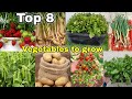 Top 8 vegetables we can grow at home  garden  the one page english cc