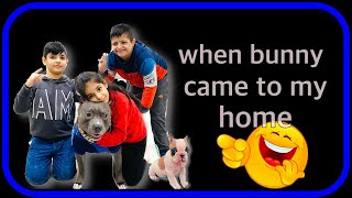 Our First Vlog with Bunny and Brody | Harpreet SDC | Jogi MJ|