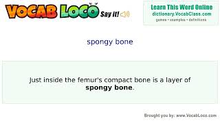 Spongy bone – English Pronunciation, Definition, Synonyms, Antonyms, Example Sentence