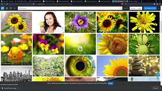 Videoguide - Download Free Pictures Quick and Easy with PXhere, CC0 Quality Photos,  Photography screenshot 2