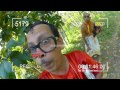 Munshi Govt decide tomorrow whether