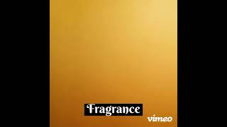 How to make a Single 4oz Candle