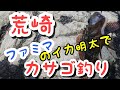 荒崎 磯遊び カサゴ釣り イカ明太（ファミマ）で！‼️8月2日2020年❗️