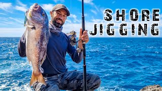 Onde e SHORE JIGGING - Ricciola e Dentice