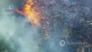 AI Predicts Disasters: Electronics Save Lives with Early Warning! Part 1 #ai #viral #trending